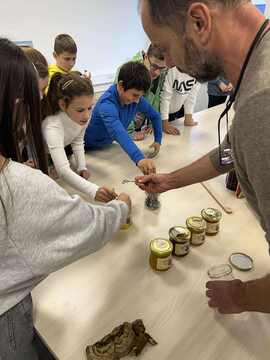 karierna iskrica (12)